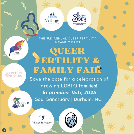 3rd Annual Queer Fertility & Family Fair 