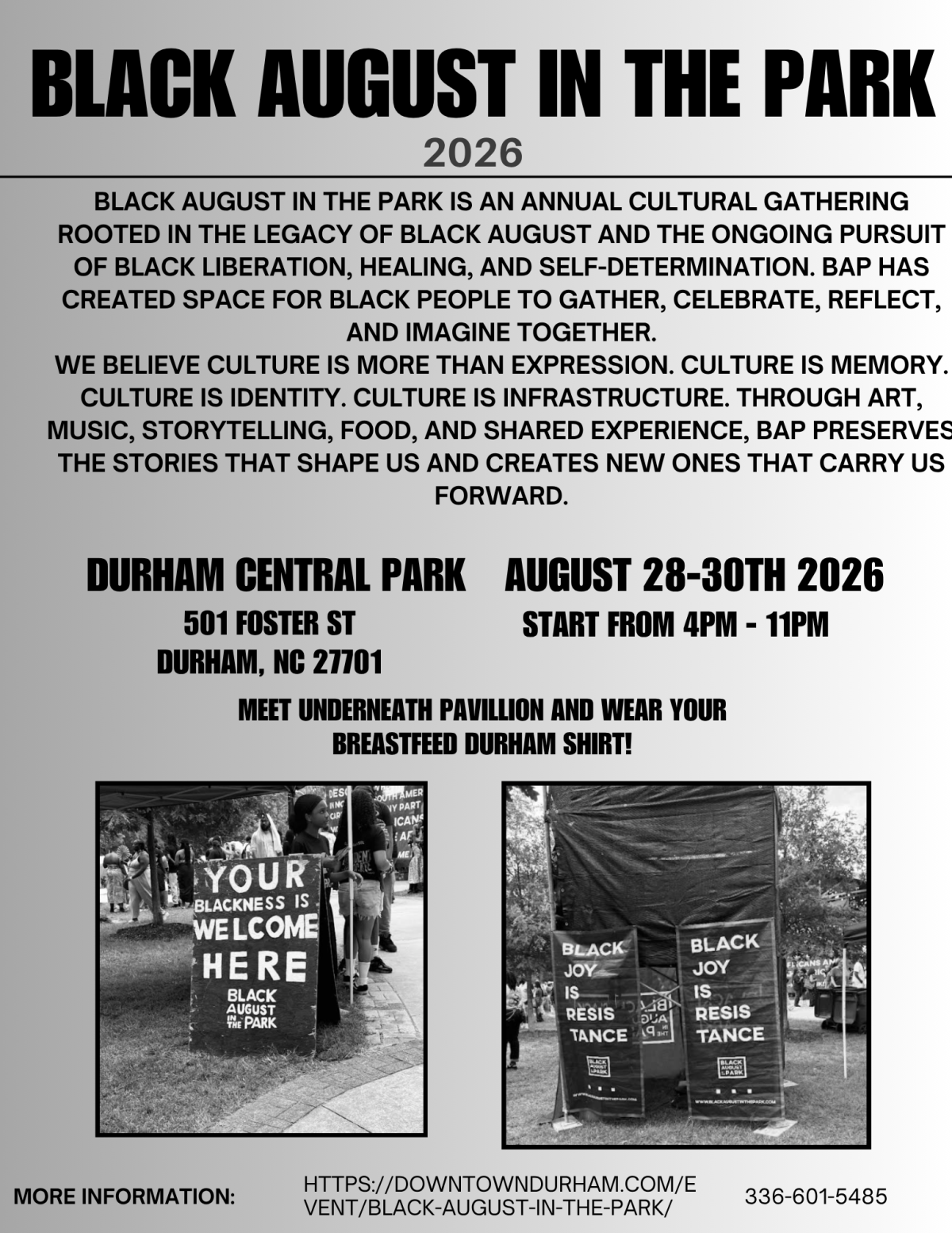 Black August in the Park 2026 Flyers