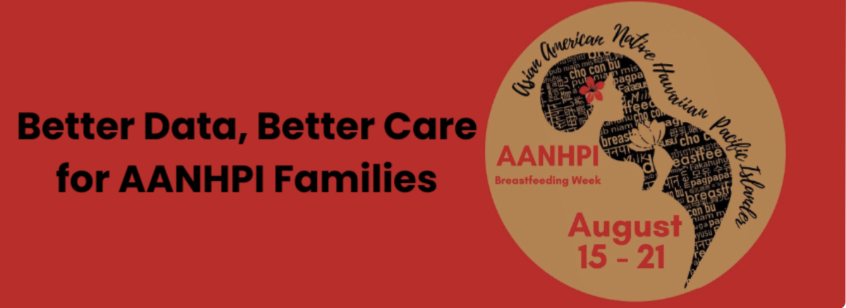 AAPI 2026 logo
