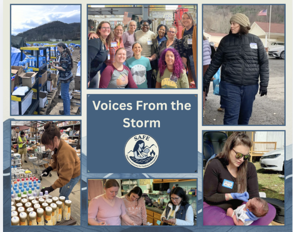 Voices from the Storm Collage